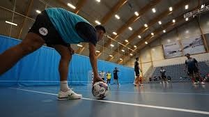 统一狮稳定发挥锁定季后赛