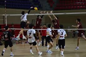 扑克认知真相总结（扑克认知真相盘点）